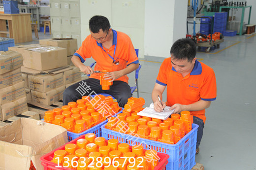 24V12V直流有刷振動(dòng)電機(jī)廠(chǎng)家