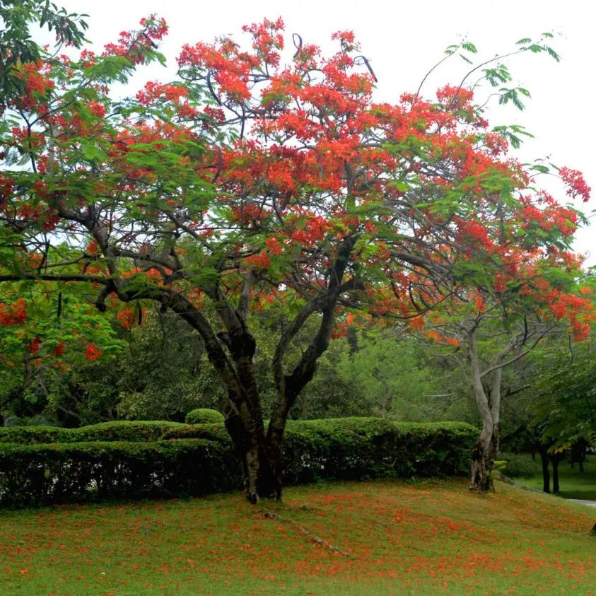 微信圖片_20190524192158