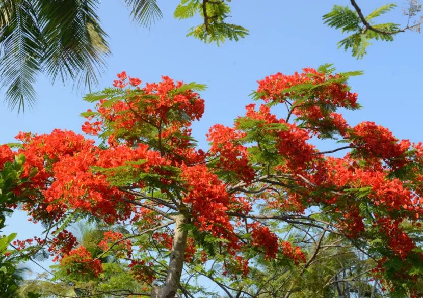 微信圖片_20190524192155