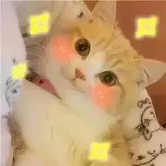 微信圖片_20190709102631 微信圖片_20190709102631