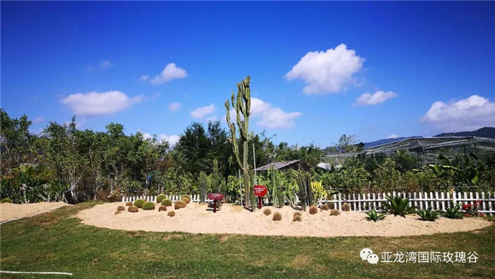 微信圖片_20190718164340