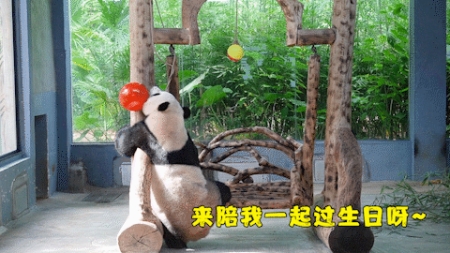 微信圖片_20190803160234 微信圖片_20190803160234