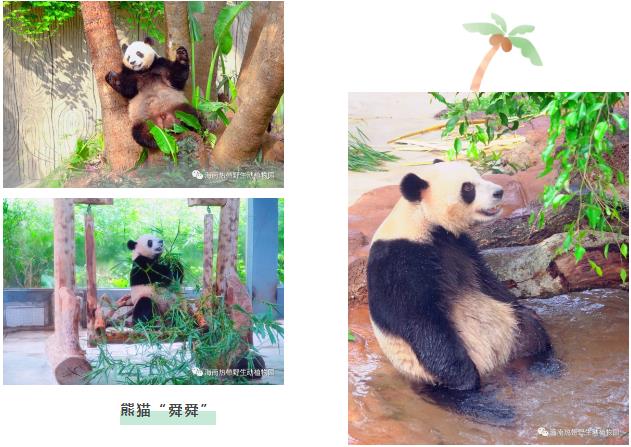 微信截圖_20190803160219 微信截圖_20190803160219