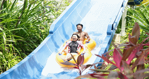 微信圖片_20190803154637 微信圖片_20190803154637