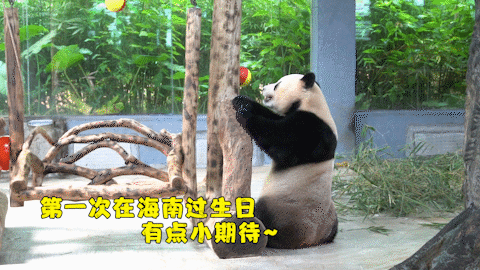 微信圖片_20190803160247 微信圖片_20190803160247