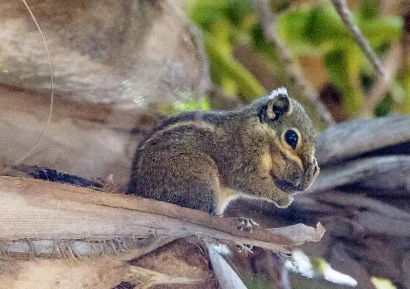 微信圖片_20200313203147 微信圖片_20200313203147