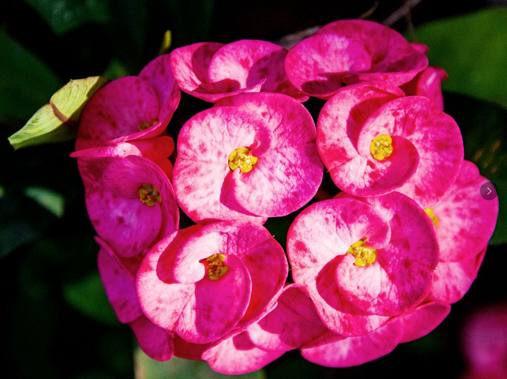 微信圖片_20200313203201 微信圖片_20200313203201