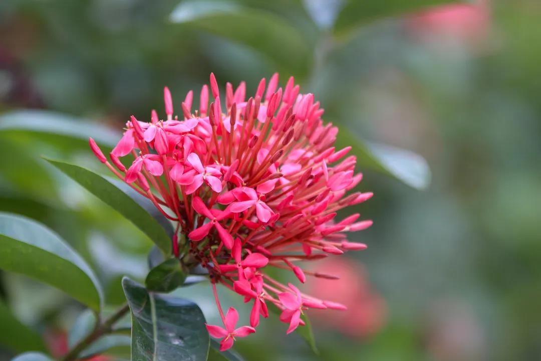 微信圖片_20200326094210