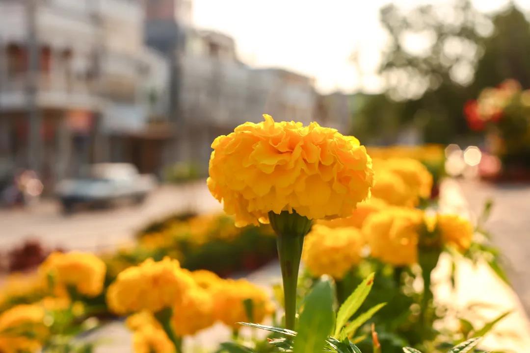 微信圖片_20200326094219