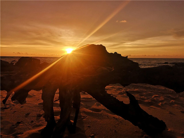 微信圖片_20200930133748 微信圖片_20200930133748