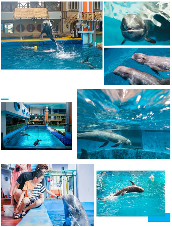 微信截圖_20200930183927 微信截圖_20200930183927