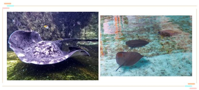 微信截圖_20200930184138 微信截圖_20200930184138