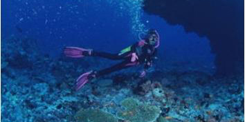 1c8a3912532beac46c3503260f9217d8