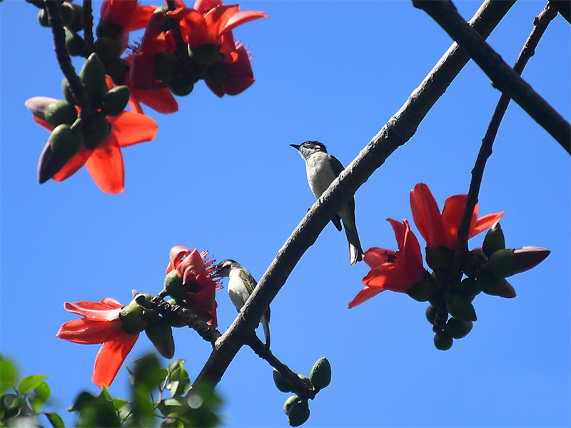 20240220171444_40932 20240220171444_40932