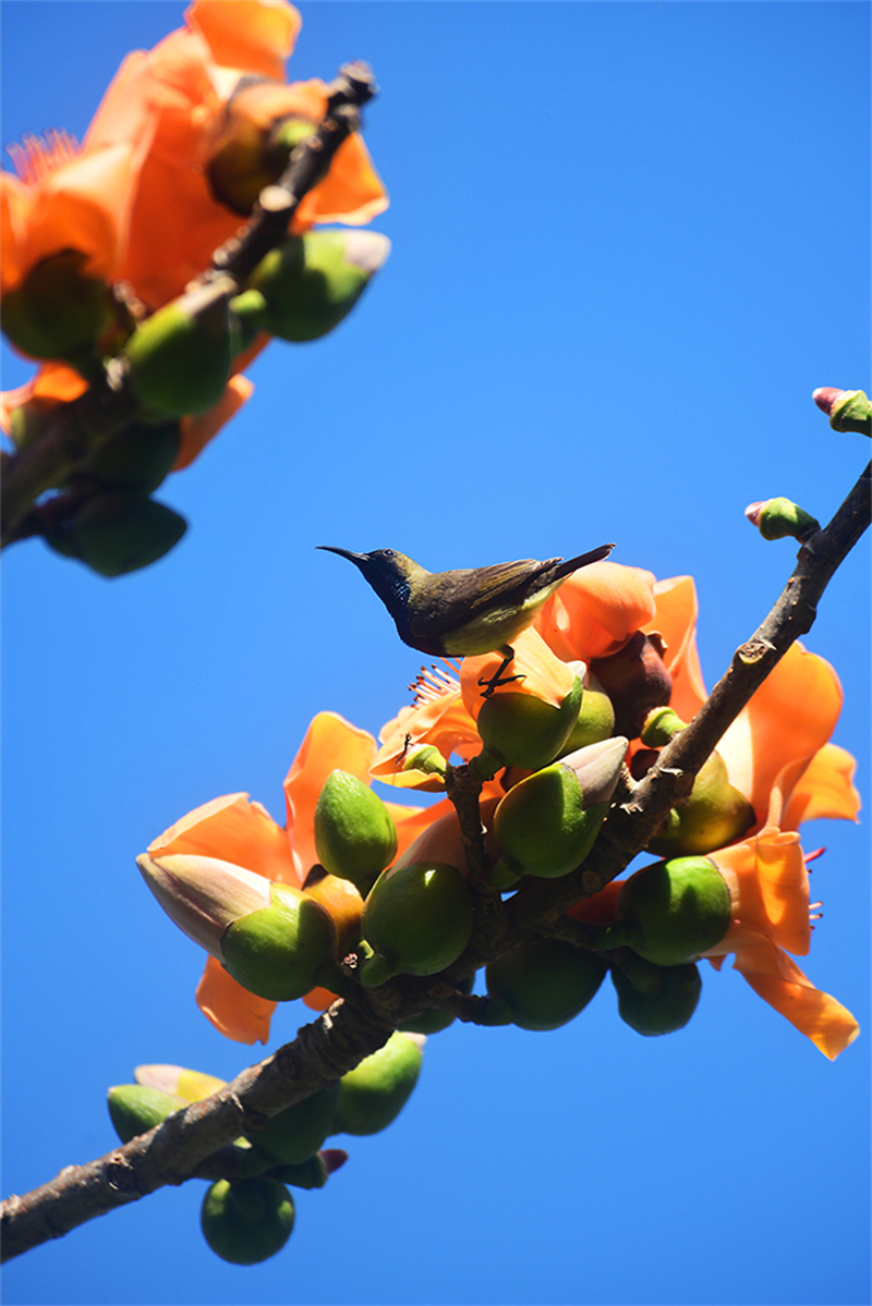 20240220171507_33808 20240220171507_33808