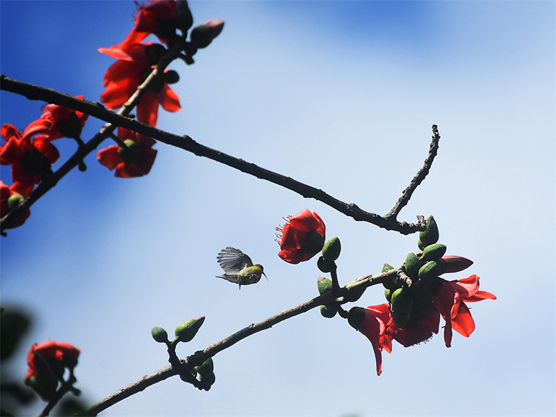 20240220171728_84247 20240220171728_84247