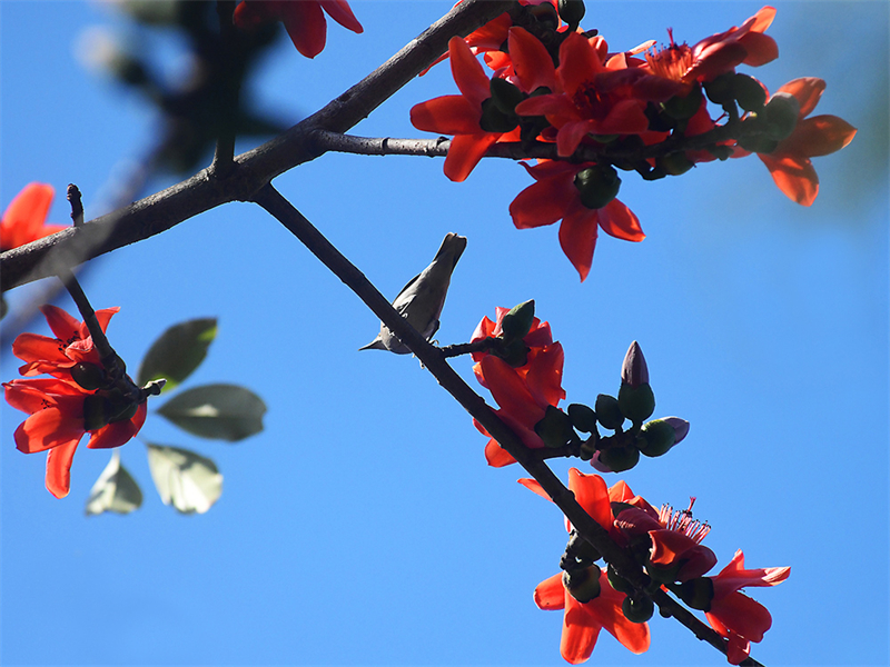 20240220171531_87660 20240220171531_87660