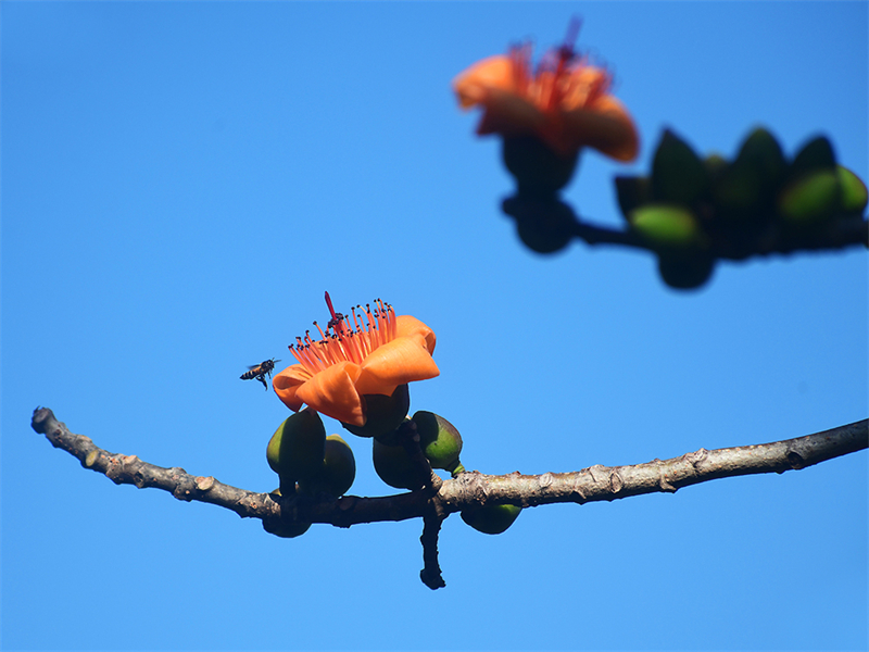 20240220171545_52425 20240220171545_52425