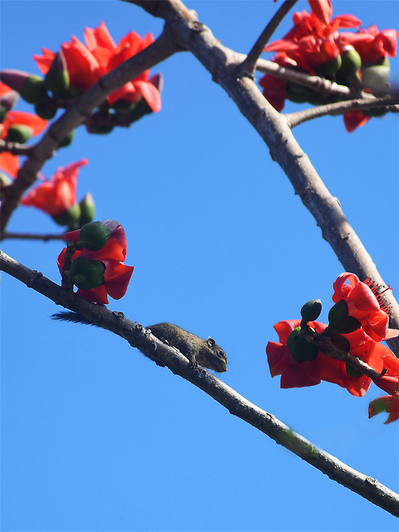 20240220171558_48432 20240220171558_48432