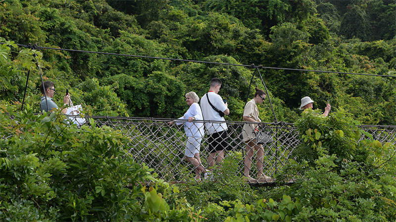 20241022232559_74143 20241022232559_74143