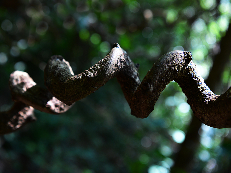 20241218221847_19509