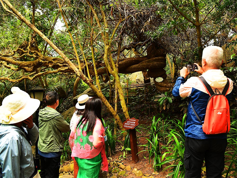 20241218222042_44013