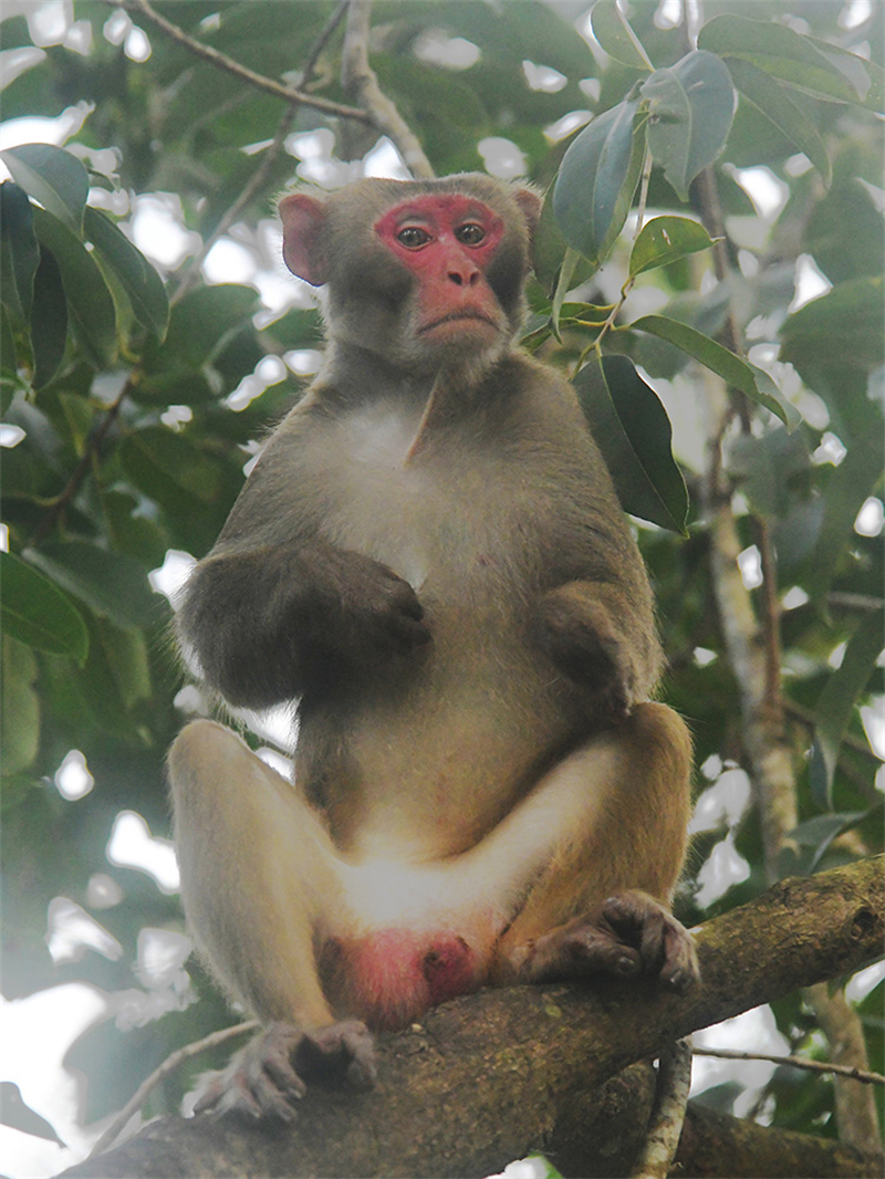 20241224160850_37956