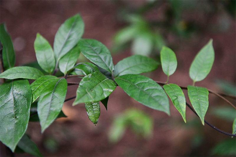 20241231165519_59505 20241231165519_59505