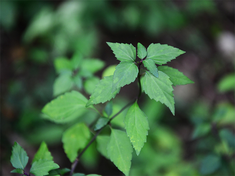 20241231165310_36970 20241231165310_36970