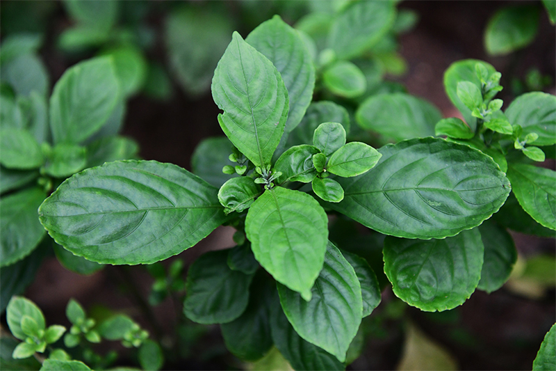 20241231165607_83401 20241231165607_83401