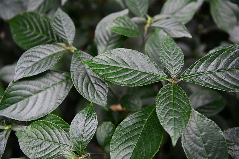 20241231165649_81367 20241231165649_81367