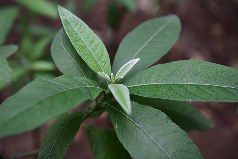 20241231165431_69216 20241231165431_69216