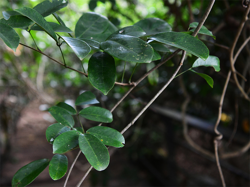 20241231165034_29201 20241231165034_29201