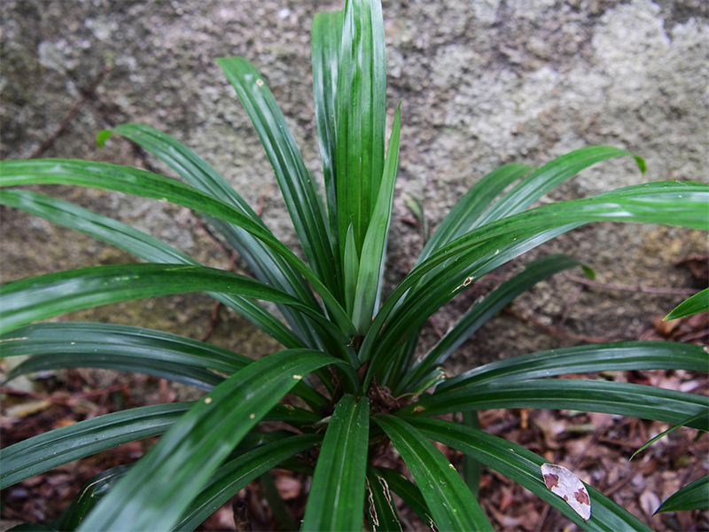 20241231170203_11417 20241231170203_11417