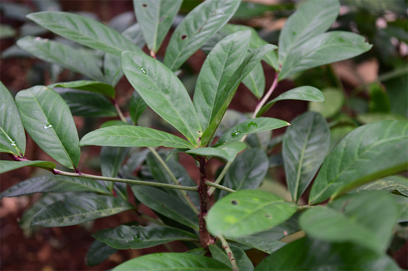 20241231165359_51229 20241231165359_51229