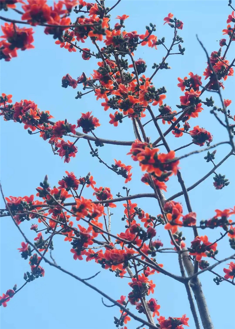 微信圖片_20250221203952 微信圖片_20250221203952