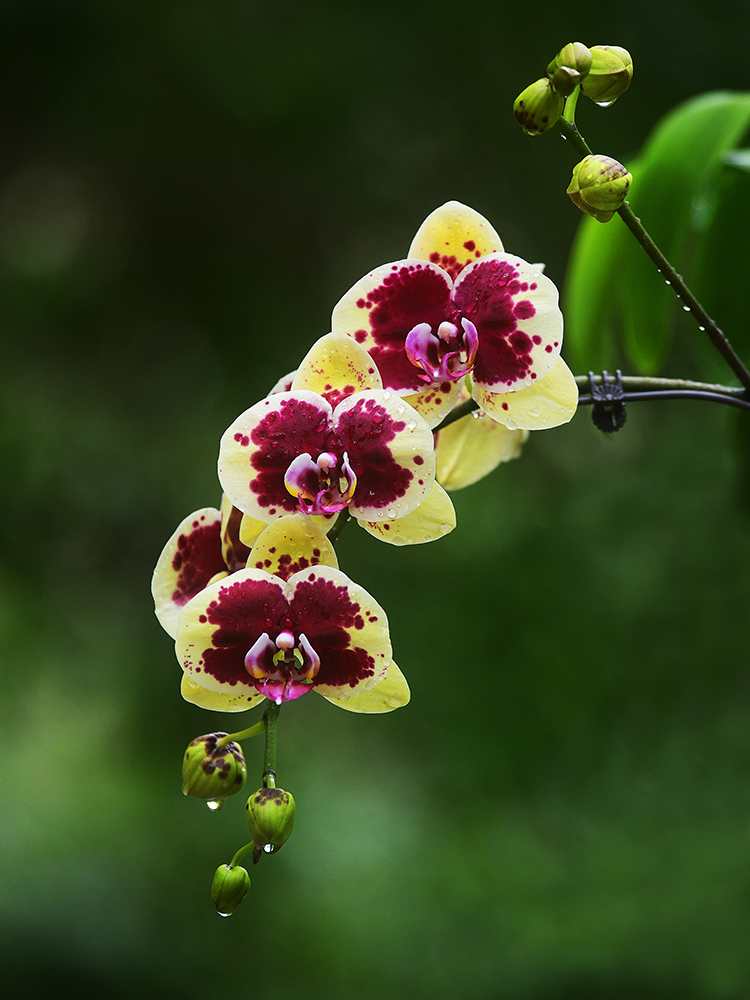 20250305211253_61908 20250305211253_61908